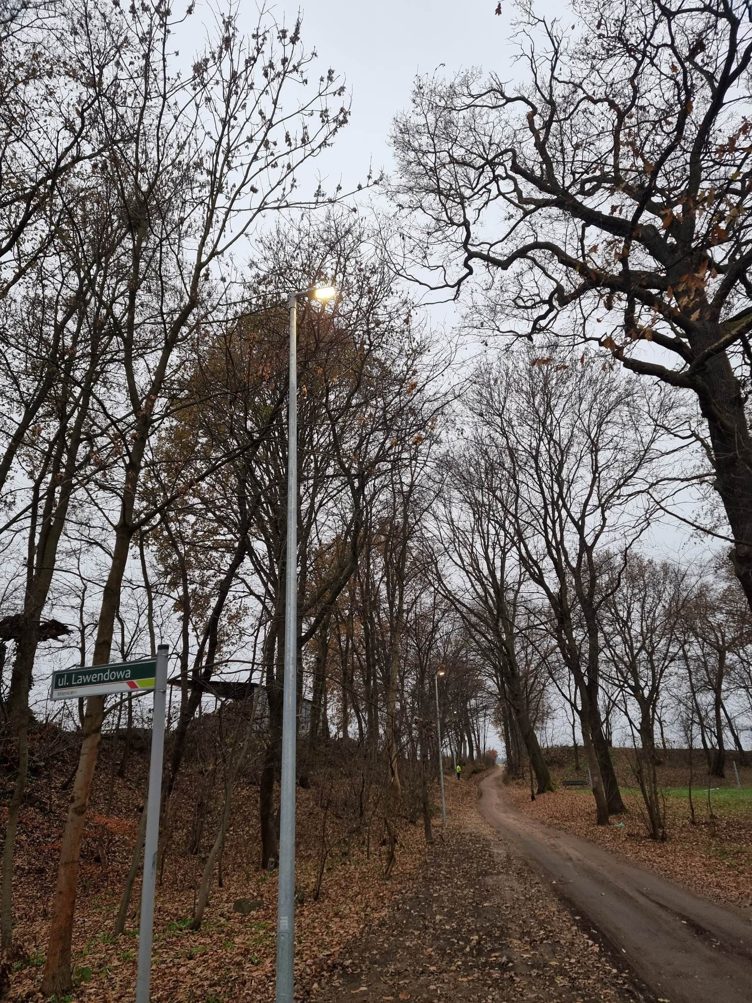 Ulica w jesiennej scenerii z nową, świecącą latarnią uliczną i znakiem 'ul. Lawendowa', oświetlona w pochmurny dzień.