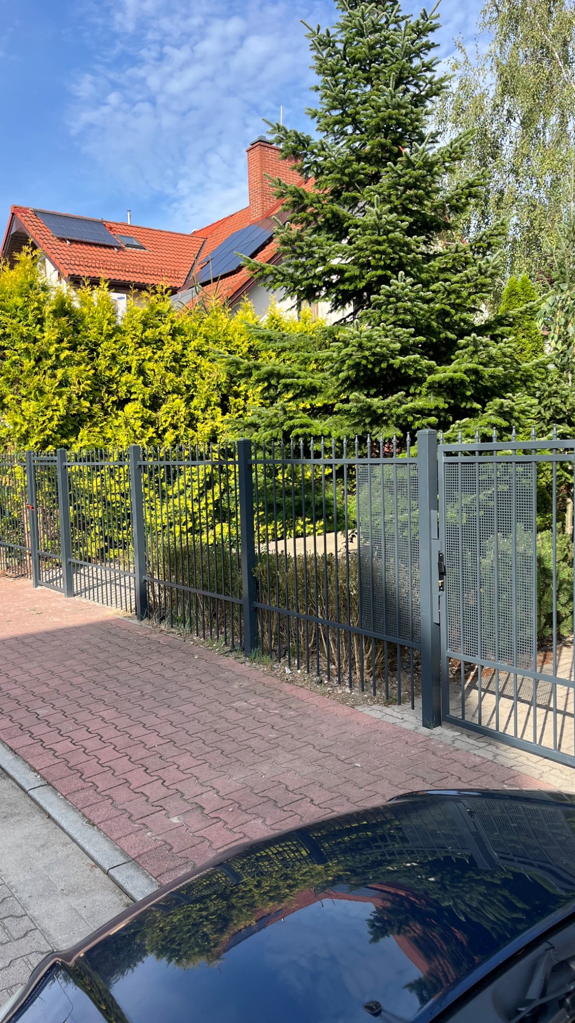Szara metalowa brama wjazdowa z kratką, otoczona żywopłotem i wysokim świerkiem, widoczny fragment czerwonej kostki brukowej i odbicie drzew w lakierze samochodu.