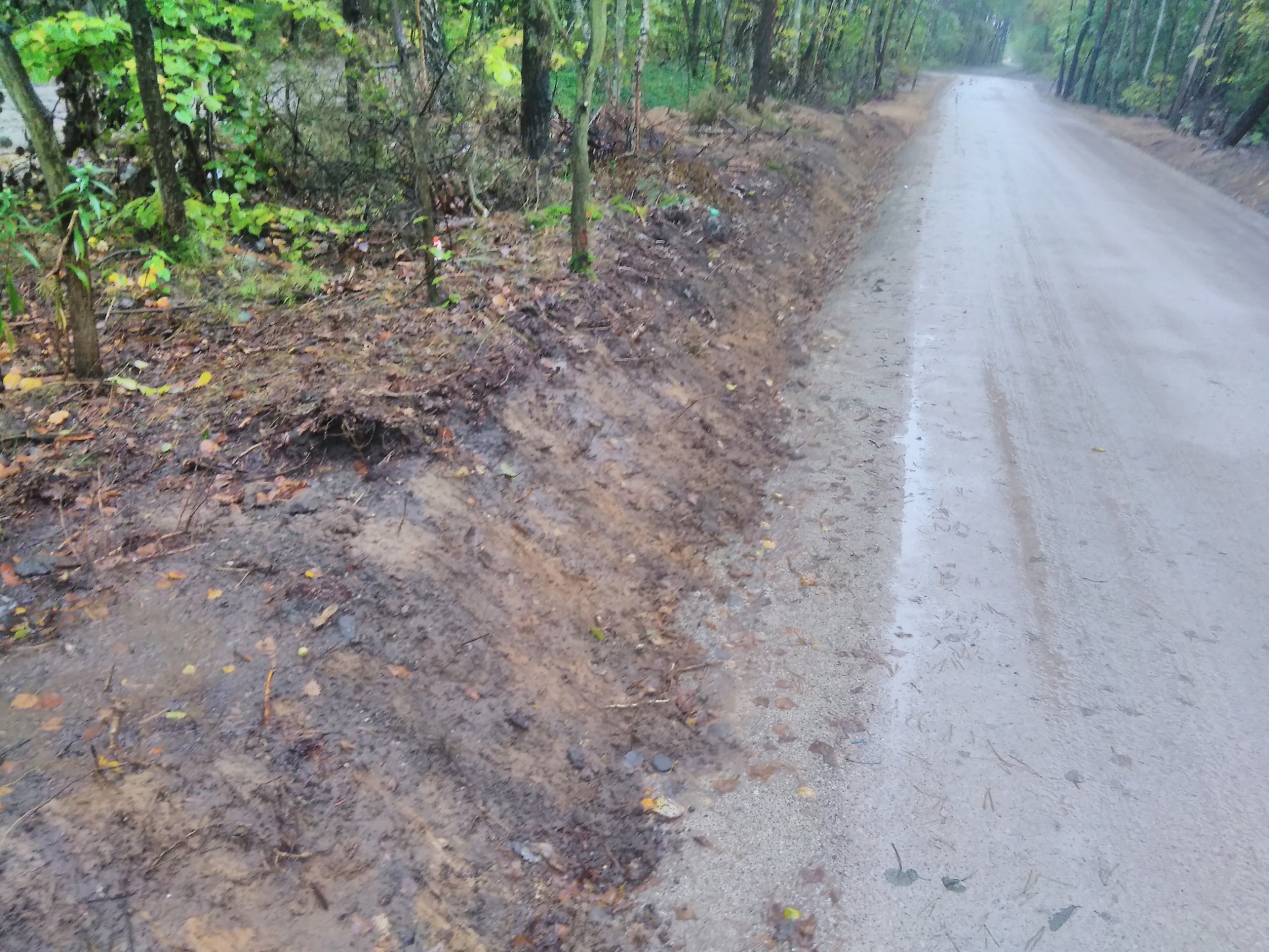 Droga leśna z kruszywa