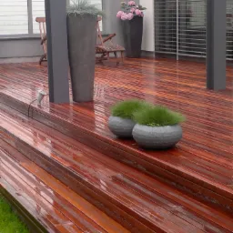 Błyszczący, brązowy taras z drewna IPE po deszczu, z doniczkami z trawą i wysokimi donicami z roślinami w tle, w nowoczesnym otoczeniu.