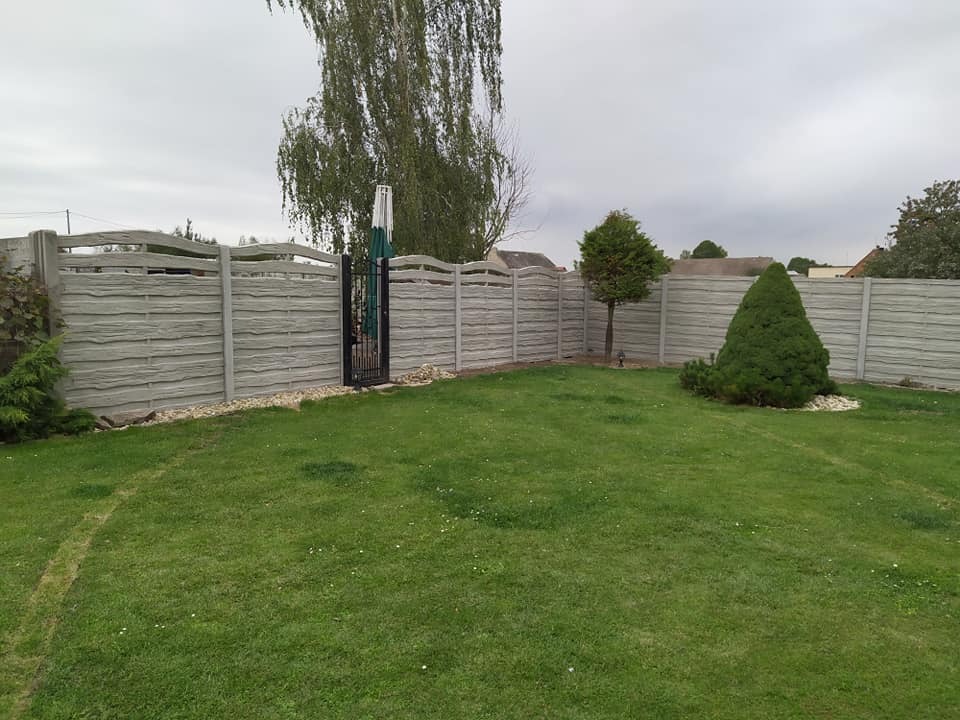 Szary, falisty płot z betonu oddzielający trawnik z dwoma drzewami iglastymi, widok na furtkę z metalowych prętów oraz brzozę na tle pochmurnego nieba.