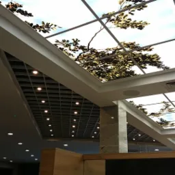 Sufit podwieszany z podświetleniem LED i grafiką drzewa na panelach, widok z dołu, oświetlenie punktowe w rastrowej konstrukcji obok.