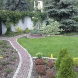 Zadbany ogród z równo przystrzyżonym trawnikiem, ścieżką z czerwonej kostki brukowej, ozdobnymi krzewami i wysokimi iglakami na tle białego muru.