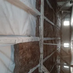 Poddasze w trakcie ocieplania, widoczna warstwa izolacji z wełny mineralnej, zabezpieczona folią paroizolacyjną przytwierdzoną zszywkami do drewnianej konstrukcji dachu, w tle okna dachowe.