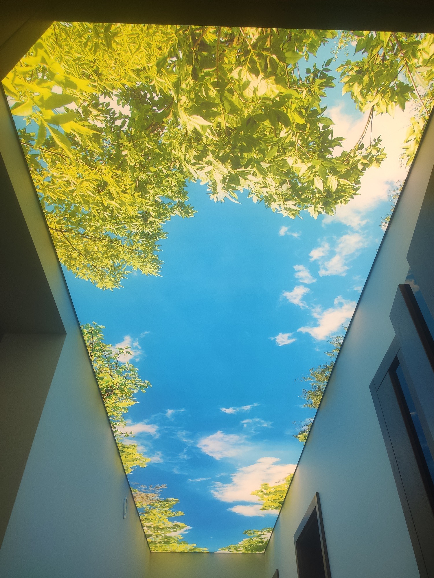 Sufit napinany z nadrukiem błękitnego nieba z chmurami i zielonych liści, widok z dołu, nowoczesne wykończenie wnętrza.