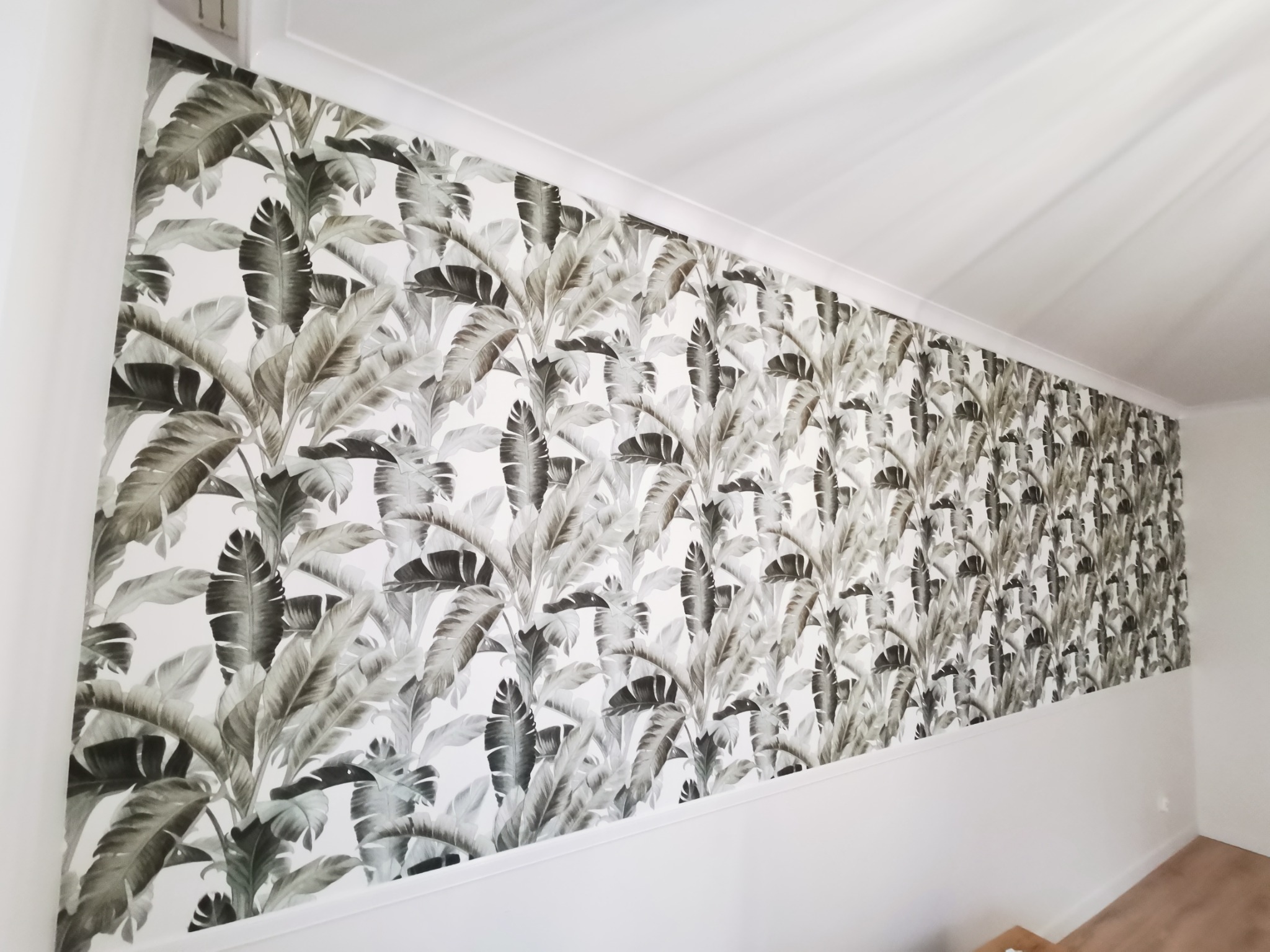 Oryginalny pomysł na tapetę, Kraków