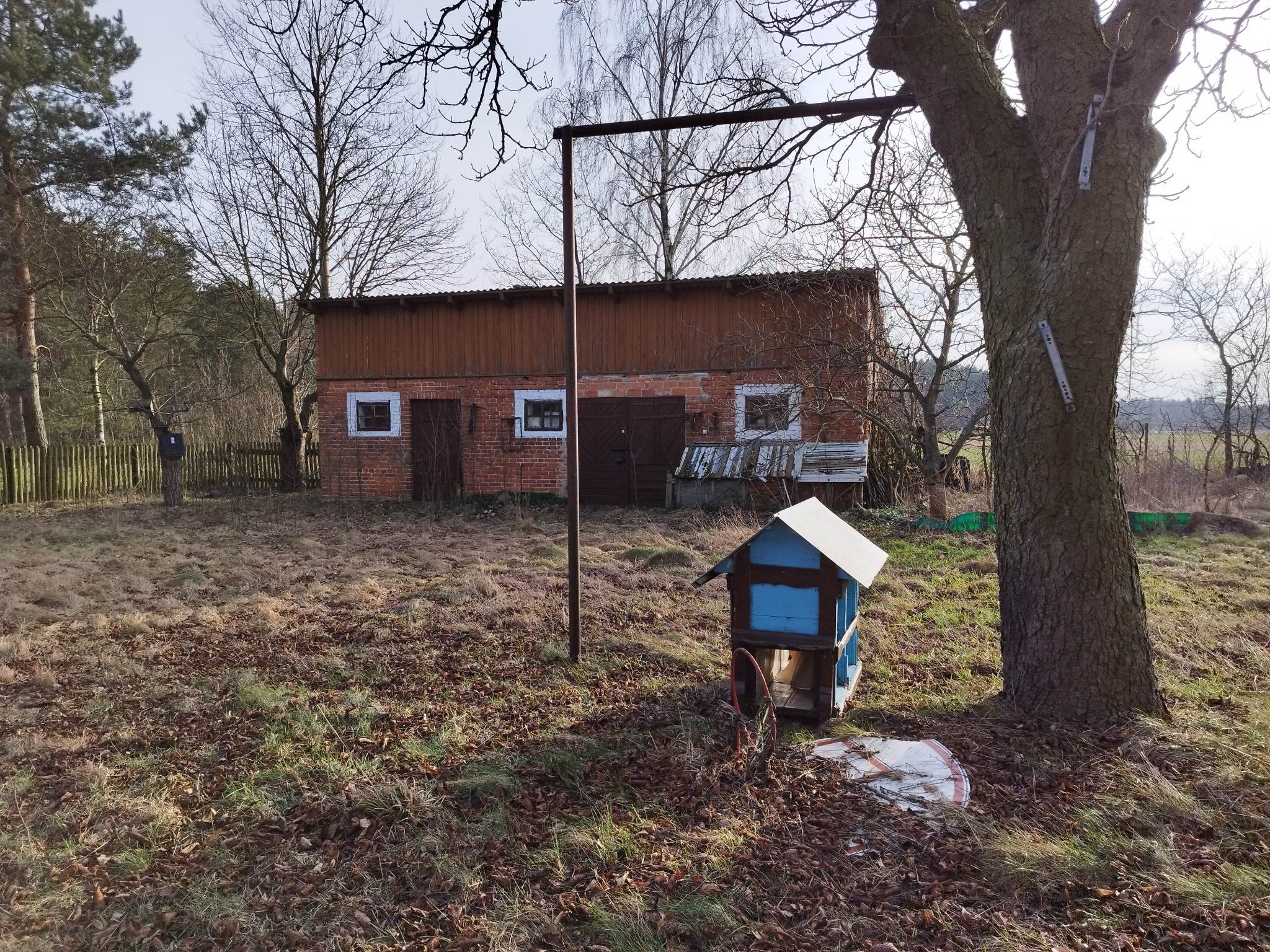 Ceglany budynek gospodarczy z drewnianą nadbudową, widoczny zza drzewa i metalowej konstrukcji, z małą, niebieską budką w pierwszym planie na zarośniętym podwórku w słoneczny dzień.