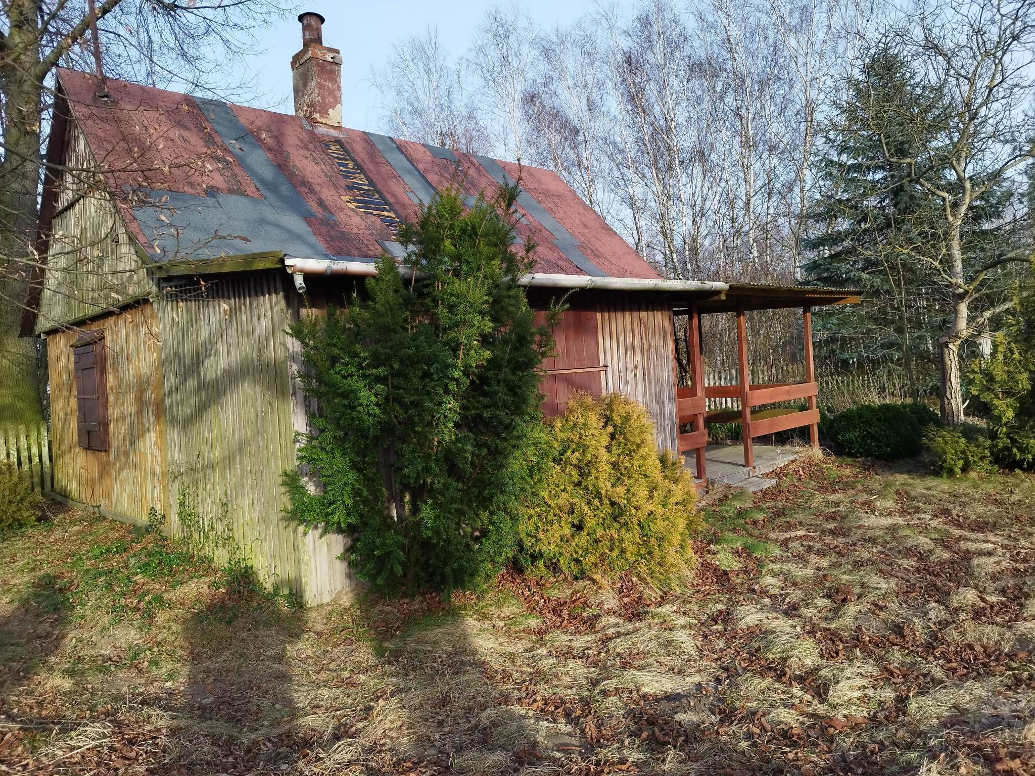 Stary drewniany domek z zardzewiałym dachem i kominem, częściowo porośnięty mchem, z werandą i dwoma krzewami iglastymi przed wejściem, otoczony opadłymi liśćmi.