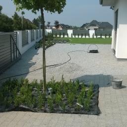 Układanie kostki brukowej Zdzieszowice 4