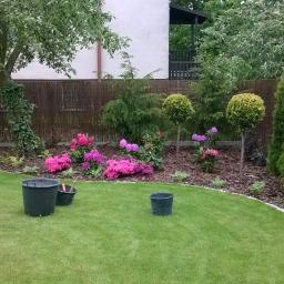 Działalność Usługowo Handlowa Rafał Kołodziej - Utrzymany trawnik z rabatą kwiatową, obrzeżem z kostki granitowej i trzema czarnymi wiadrami ogrodniczymi na pierwszym planie, w tle tuje, krzewy i bambusowe ogrodzenie.