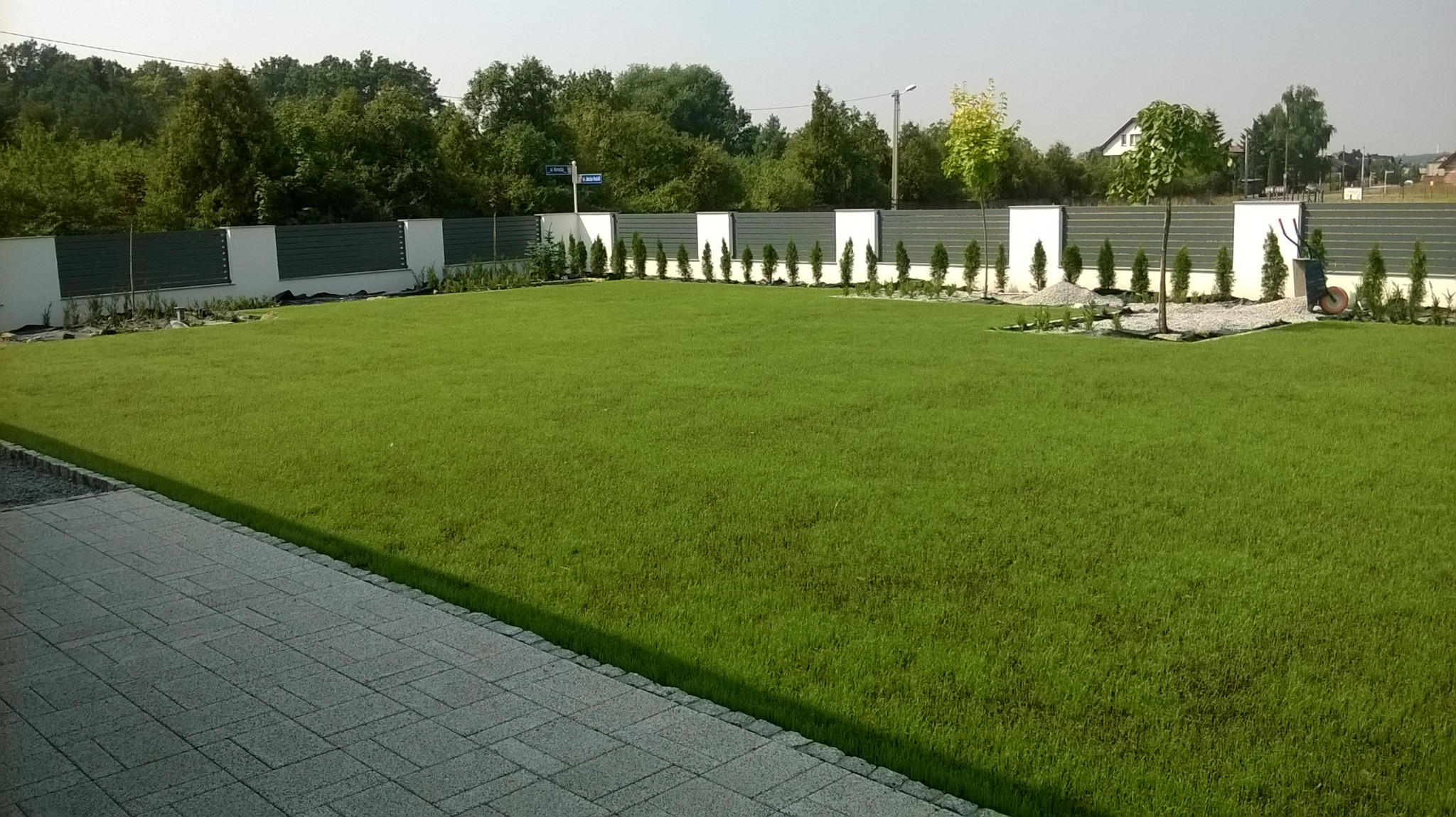Rozległy, intensywnie zielony trawnik z rolki, obrzeża z kostki brukowej, nowoczesne ogrodzenie panelowe z białymi słupkami, rząd małych tujek i drzewek na tle zieleni drzew, w tle widoczny dom.