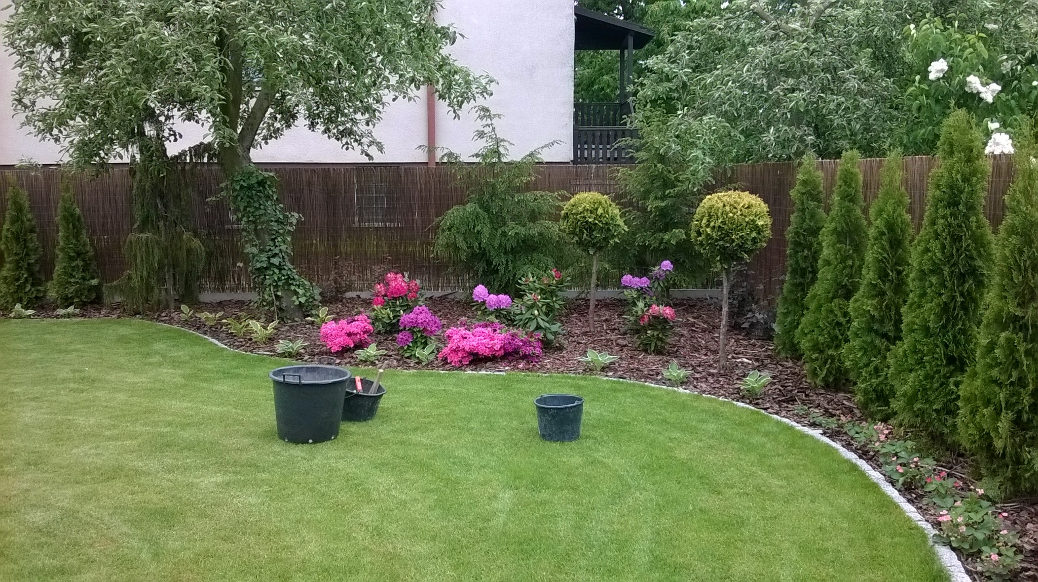 Utrzymany trawnik z rabatą kwiatową, obrzeżem z kostki granitowej i trzema czarnymi wiadrami ogrodniczymi na pierwszym planie, w tle tuje, krzewy i bambusowe ogrodzenie.