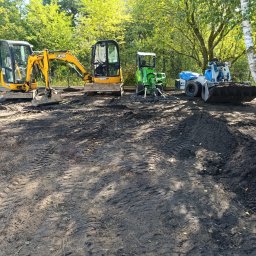 Trawa z rolki Sośno 4