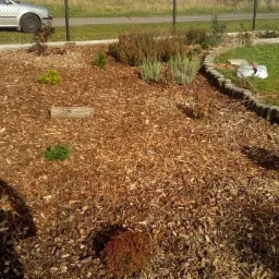 Świeżo założony ogród z korą sosnową jako ściółką, widoczne młode sadzonki i obrzeże z drewnianych palików, cień osoby robiącej zdjęcie.