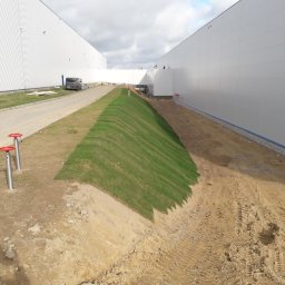 Adam Kuszczyk GC usługi ogrodnicze - Ukończony fragment skarpy z trawą przy budynku przemysłowym. Widoczne trzy zawory nawadniające i ślady po ciężkim sprzęcie.