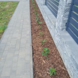 Adam Kuszczyk GC usługi ogrodnicze - Świeżo posadzone, młode rośliny wzdłuż szarego chodnika z kostki i ogrodzenia z kamiennymi słupkami. Kora rozsypana wokół sadzonek. Ujęcie z góry.