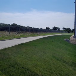 Adam Kuszczyk GC usługi ogrodnicze - Widok na równo skoszoną trawę przy chodniku z kostki, ogrodzenie z siatki i drzewa w tle, w słoneczny dzień. Fragment budynku po prawej stronie kadru.