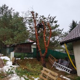 MultiFach - Mężczyzna w trakcie wycinki drzewa piłą spalinową, widoczne ścięte gałęzie, drabina i palety. Częściowo ośnieżony teren, w tle budynek i zielone drzewa.