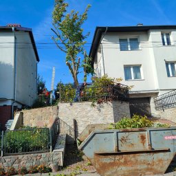 MultiFach - Ekipa przycina drzewo w ogrodzie między domami. Kontener na gałęzie i liście. Jeden z pracowników opiera drabinę o drzewo. Błękitne niebo w tle.