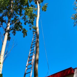 Pranie kanap Jaroty 3