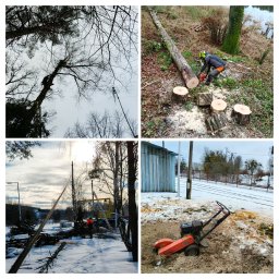 MultiFach - Kompozycja czterech ujęć: arborysta na drzewie, cięcie pnia piłą, pracownik z liną i maszyna do frezowania pni na tle zimowego krajobrazu. Prace ogrodnicze.