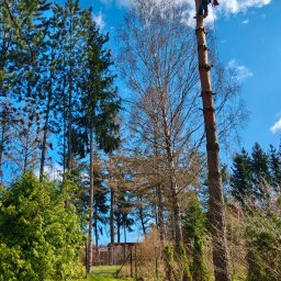 MultiFach - Drobne prace elektryczne Olsztyn