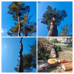 MultiFach - Prace wysokościowe Olsztyn