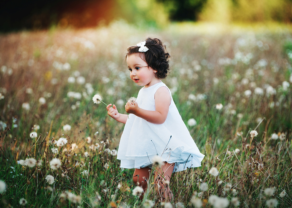 Dziewczynka w białej sukience z kokardką we włosach, trzymająca dmuchawce na łące pełnej uschniętych kwiatów, delikatne światło słoneczne.