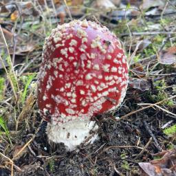 Varsovia sp z o.o. - Ochrona środowiska Warszawa