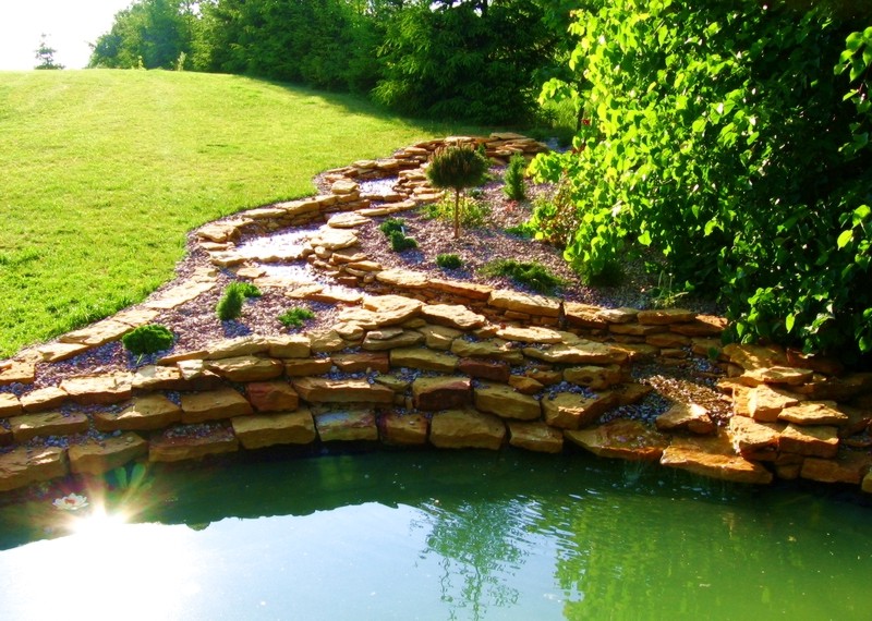 Oczko wodne z kaskadą z piaskowca, obsadzone niskimi roślinami iglastymi i kulistym drzewkiem, na tle zielonego trawnika i drzew.