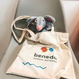 Pluszowa myszka w torbie z logo szkoły językowej Benedu siedzi na krześle, z podniesioną łapką.