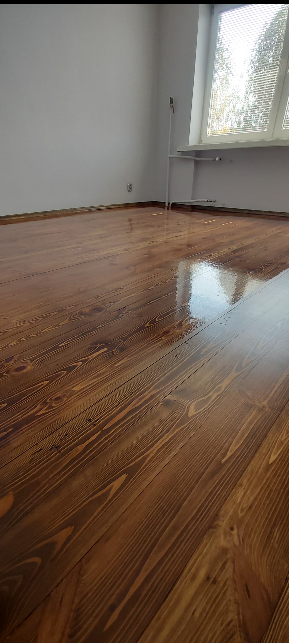 Błyszcząca, świeżo polakierowana podłoga z desek w odcieniach brązu, odbijająca światło z okna. Widoczne detale usłojenia drewna i białe ściany w tle.