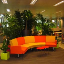 Reformy-Mirek - Nowoczesne biuro z półokrągłą sofą w odcieniach pomarańczy i żółci, otoczoną zielenią roślin doniczkowych i małym czerwonym stolikiem kawowym, w tle biurka i stanowiska pracy.