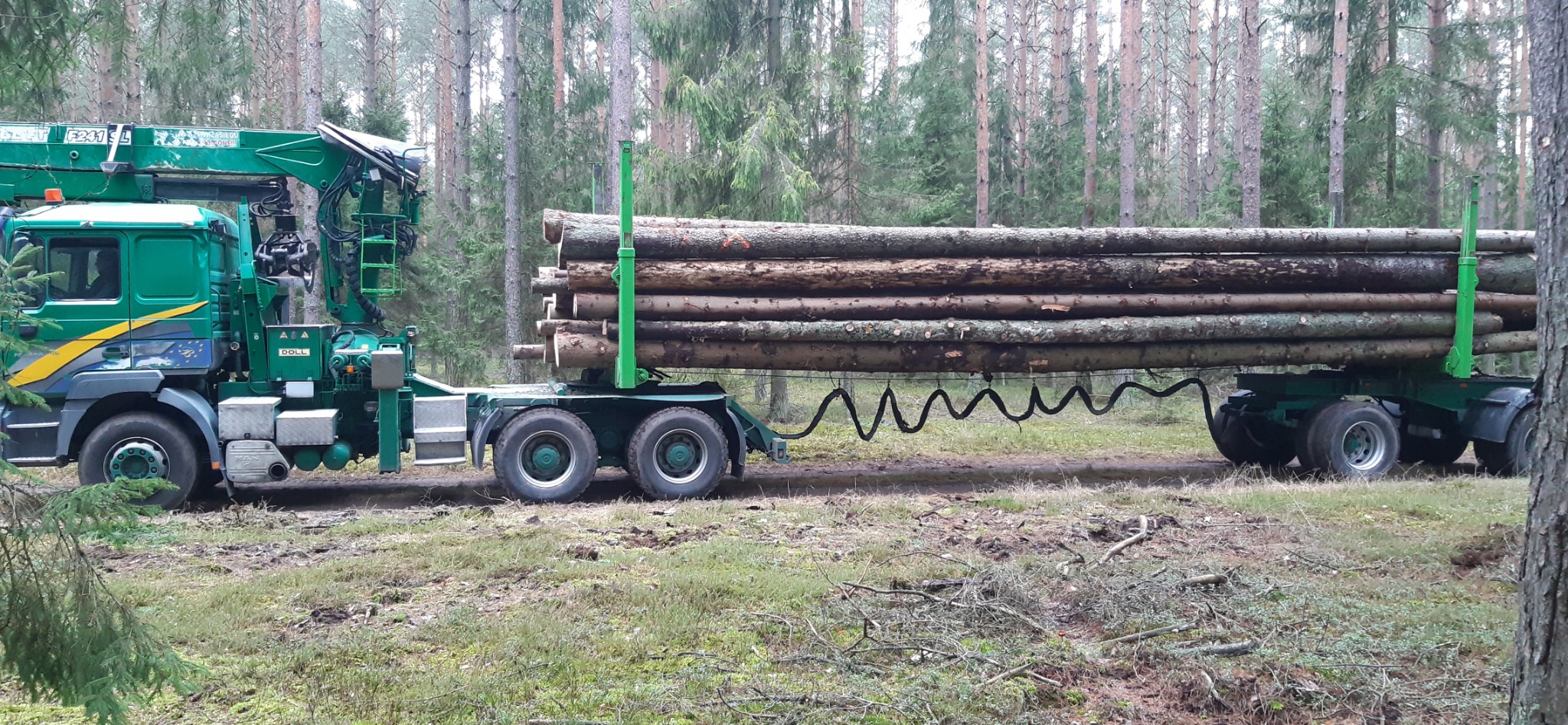 Zielony ciągnik siodłowy z dźwigiem przewozi kłody drewna na przyczepie w leśnym terenie.