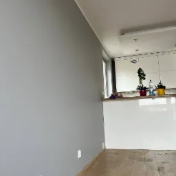 Świeżo pomalowane na szaro ściany w jasnym wnętrzu, widoczne gniazdka elektryczne przy podłodze, drewniana podłoga i fragment białej zabudowy kuchennej z roślinami doniczkowymi.