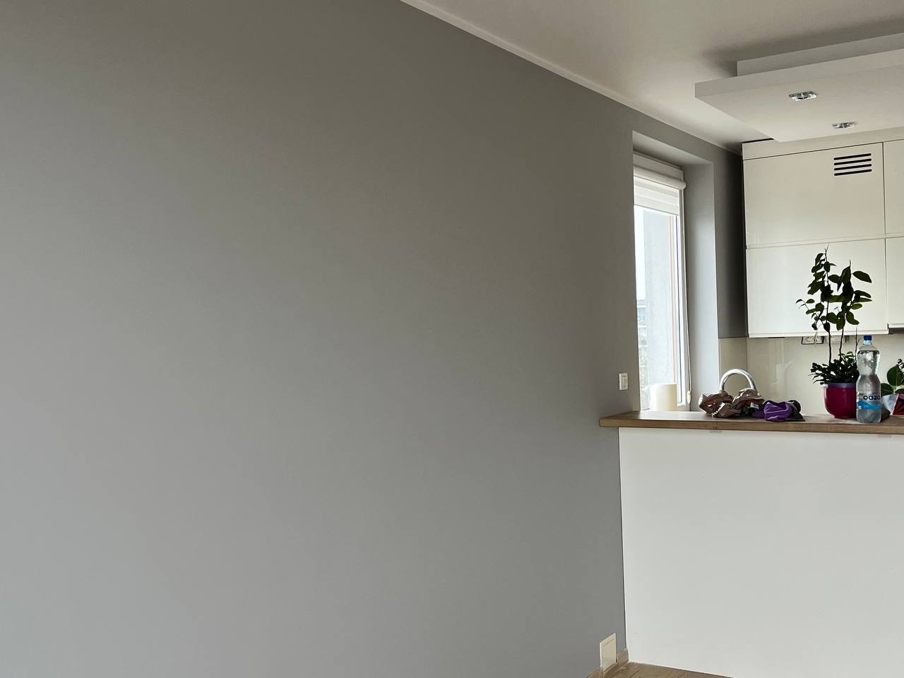 Świeżo pomalowana szara ściana w mieszkaniu, widoczny fragment kuchni z białymi szafkami i rośliną doniczkową na blacie.