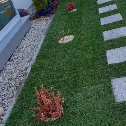 Nowoczesny ogród z równo przystrzyżonym trawnikiem, ścieżką z płyt chodnikowych, rzędem tuj w donicach i ozdobnymi krzewami wysypanymi białym kamieniem.