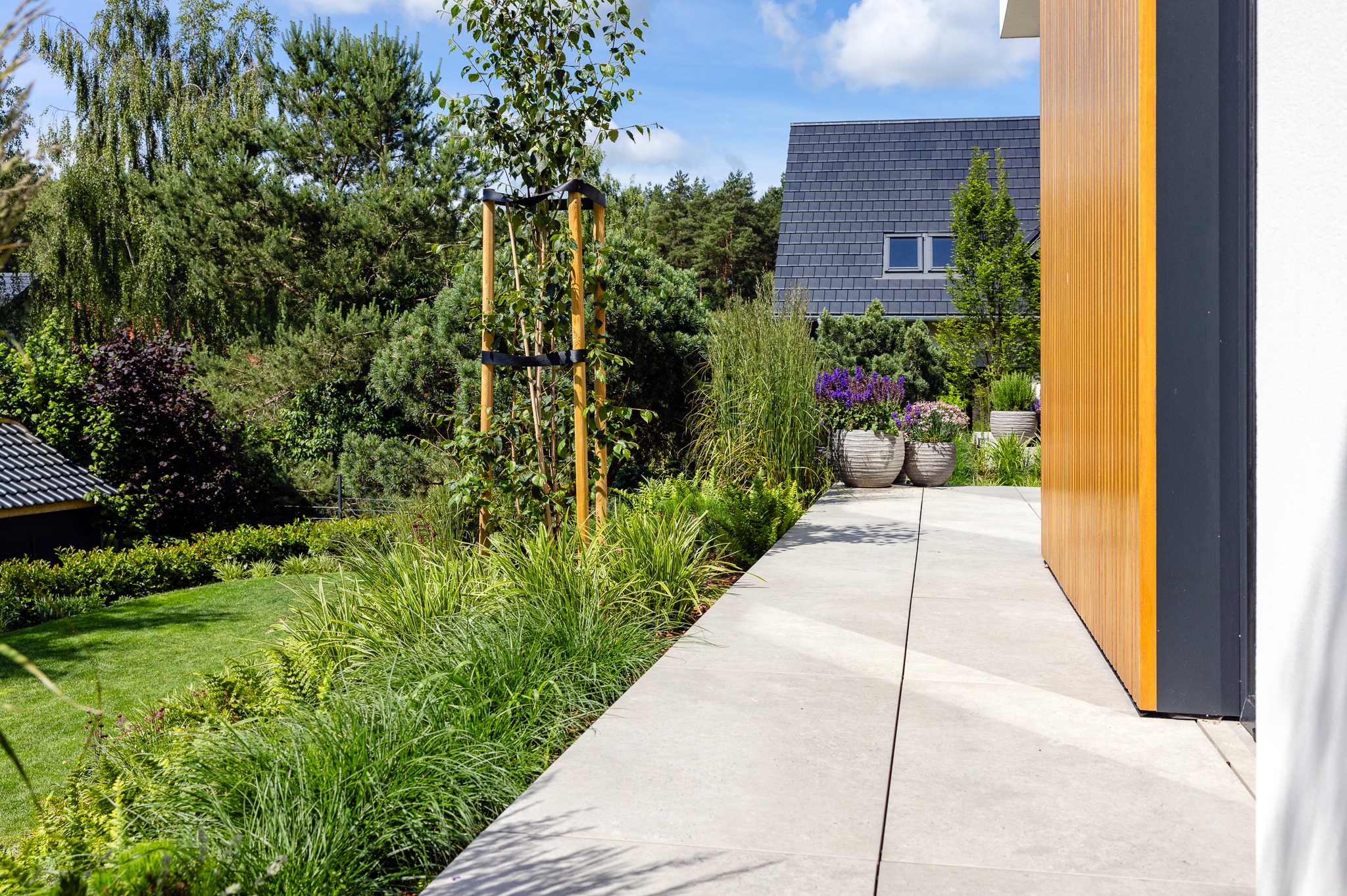 Nowoczesny ogród z betonową ścieżką, ozdobnymi donicami i młodym drzewem zabezpieczonym podporami. W tle budynek z ciemnym dachem i drewnianą elewacją.