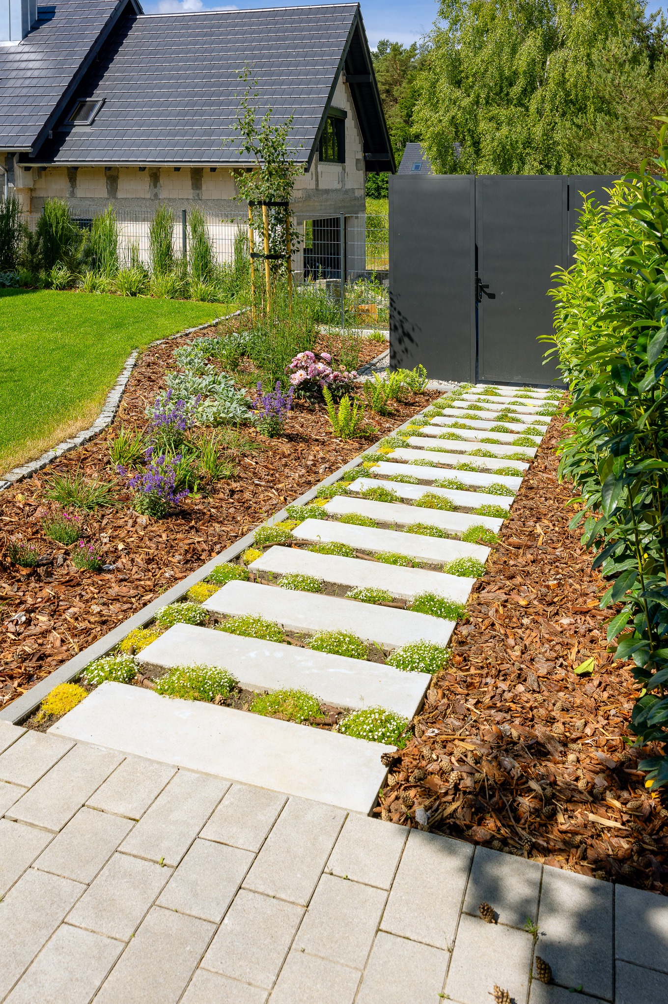 Ogród z ścieżką z płyt betonowych, obsadzoną roślinami i korą, prowadzącą do bramy. Widoczny trawnik i fragment domu z szarą dachówką.