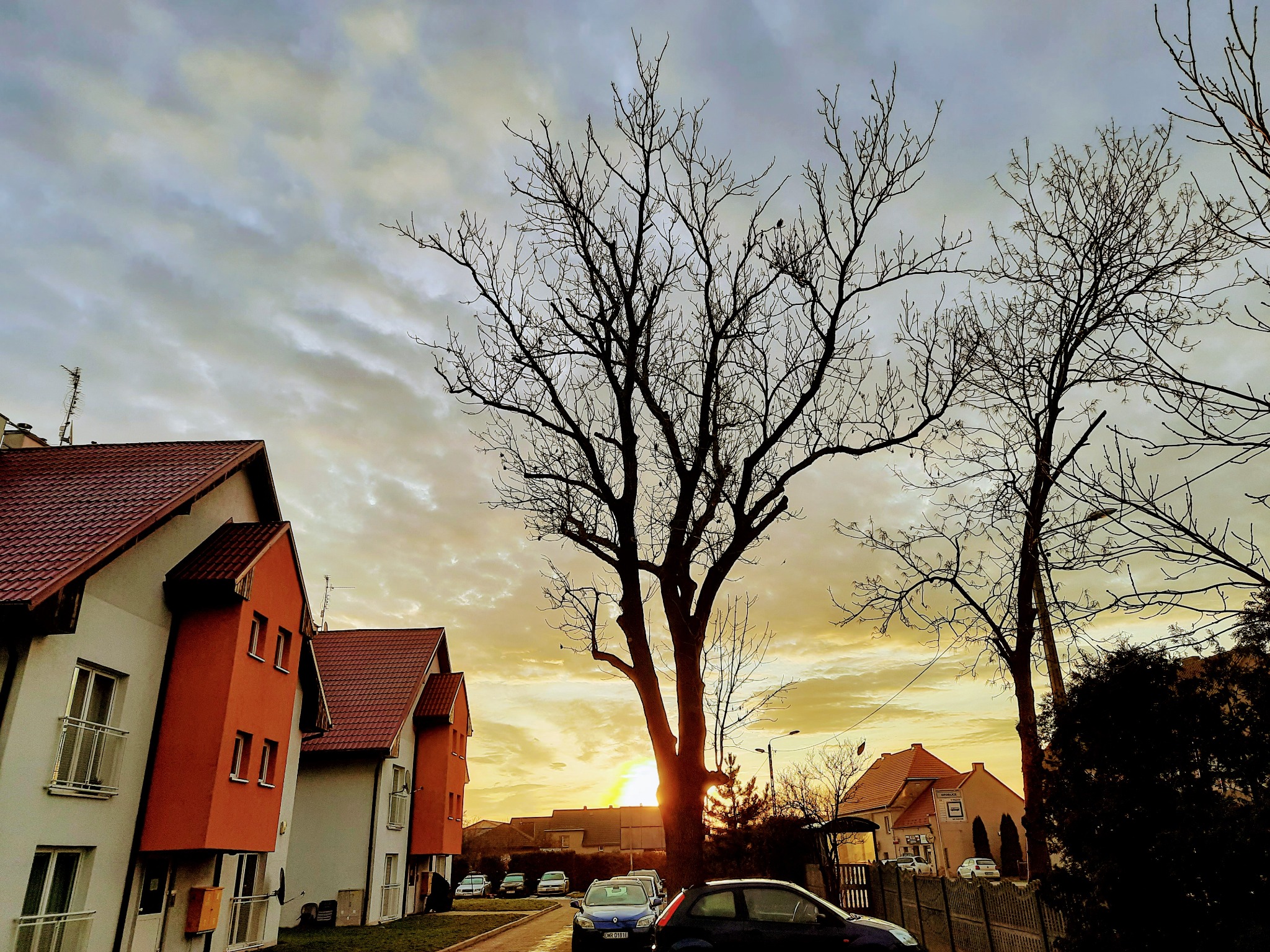 Jesienne popołudnie w zabudowie szeregowej: nagie drzewa na tle zachodzącego słońca, pomarańczowe akcenty na fasadach budynków.