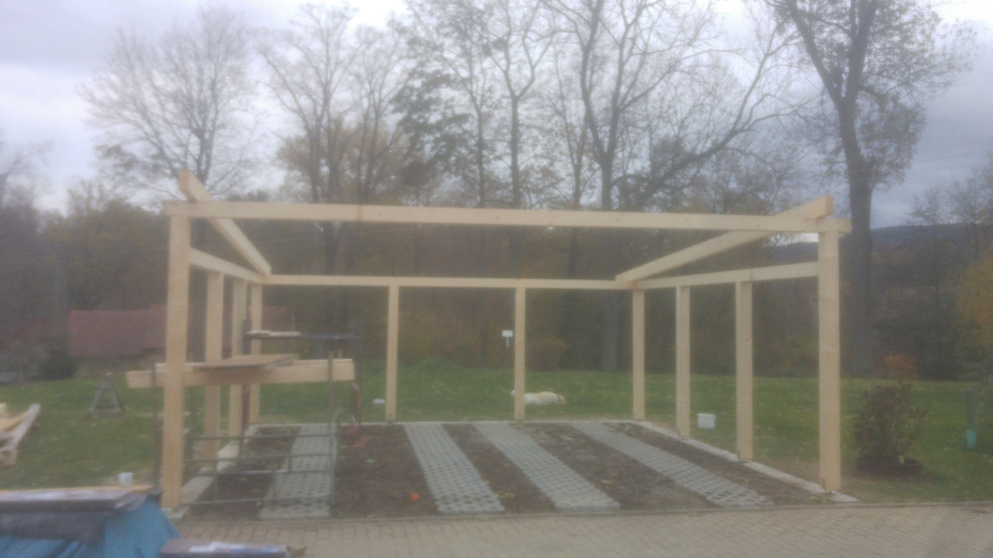 Surowa drewniana konstrukcja zadaszenia na posesji z ułożoną kostką brukową, widok na zewnątrz w pochmurny dzień, w tle drzewa i trawnik z leżącym psem.