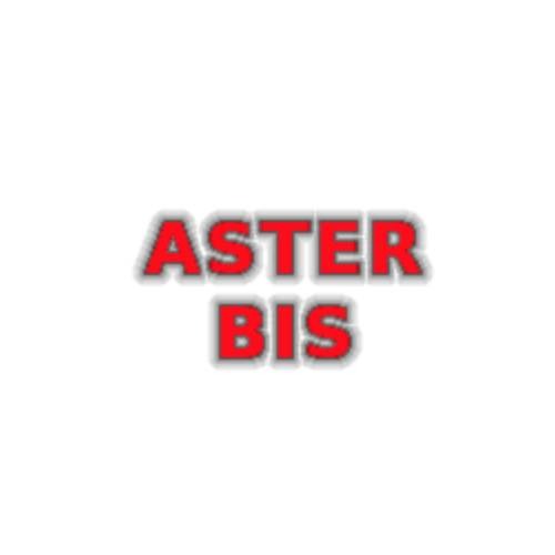 Logo firmy Aster Bis z czerwonym tekstem i szarym obrysem na białym tle.