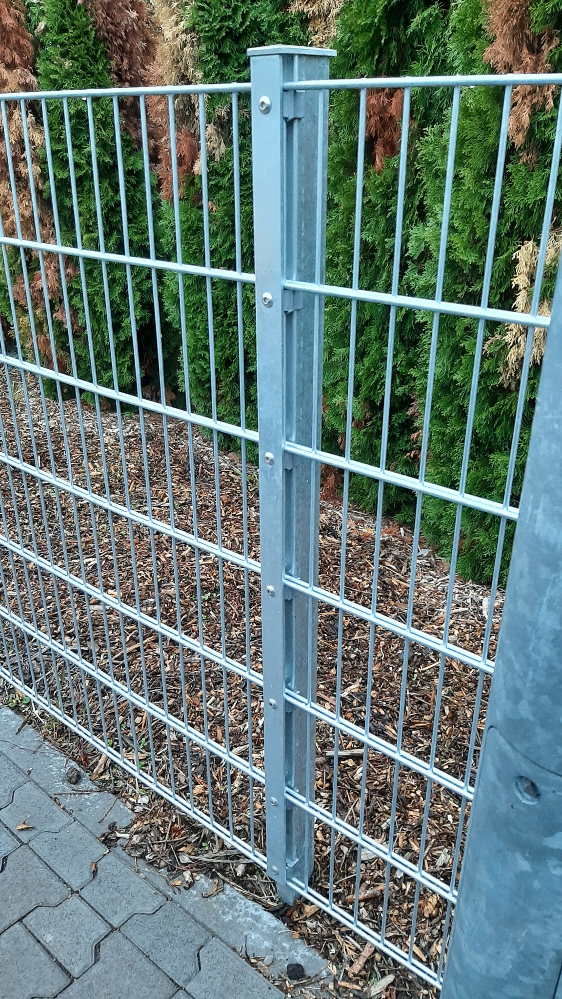 Słupy 60x40 2D , ocynk