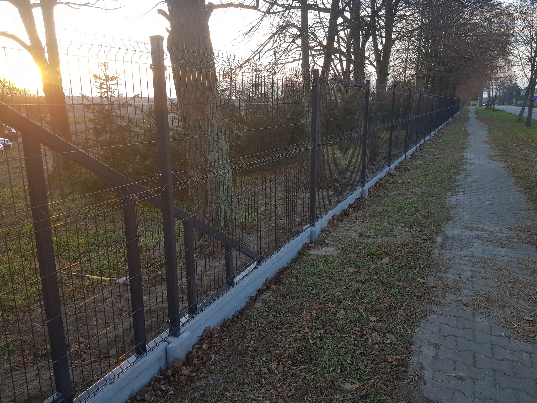 Długa, czarna siatka ogrodzeniowa panelowa z podmurówką betonową, biegnąca wzdłuż chodnika i drzew, widok w kierunku zachodzącego słońca.