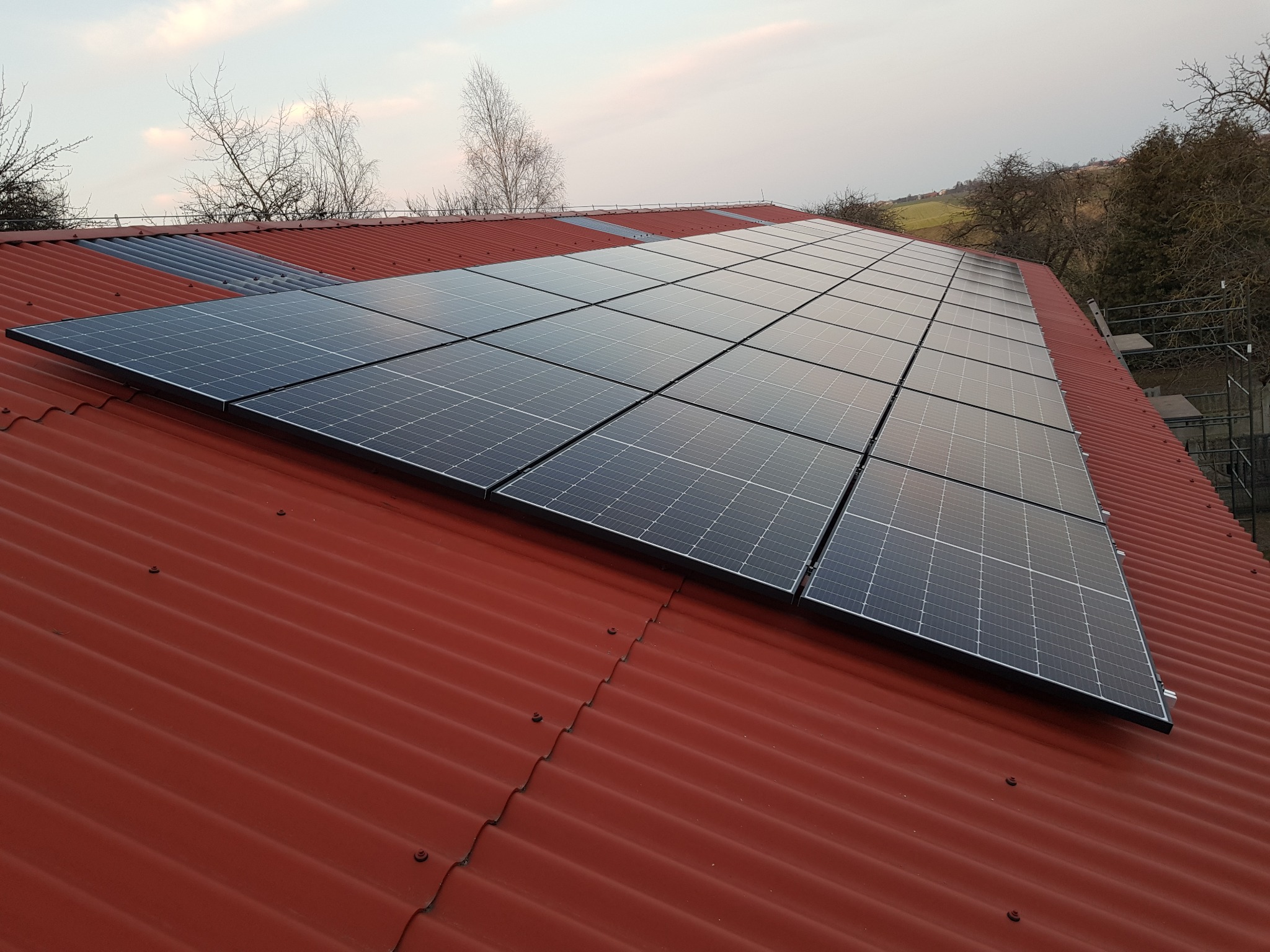 Panele słoneczne na czerwonym, falistym dachu w pochmurny dzień, widoczne drzewa w tle.