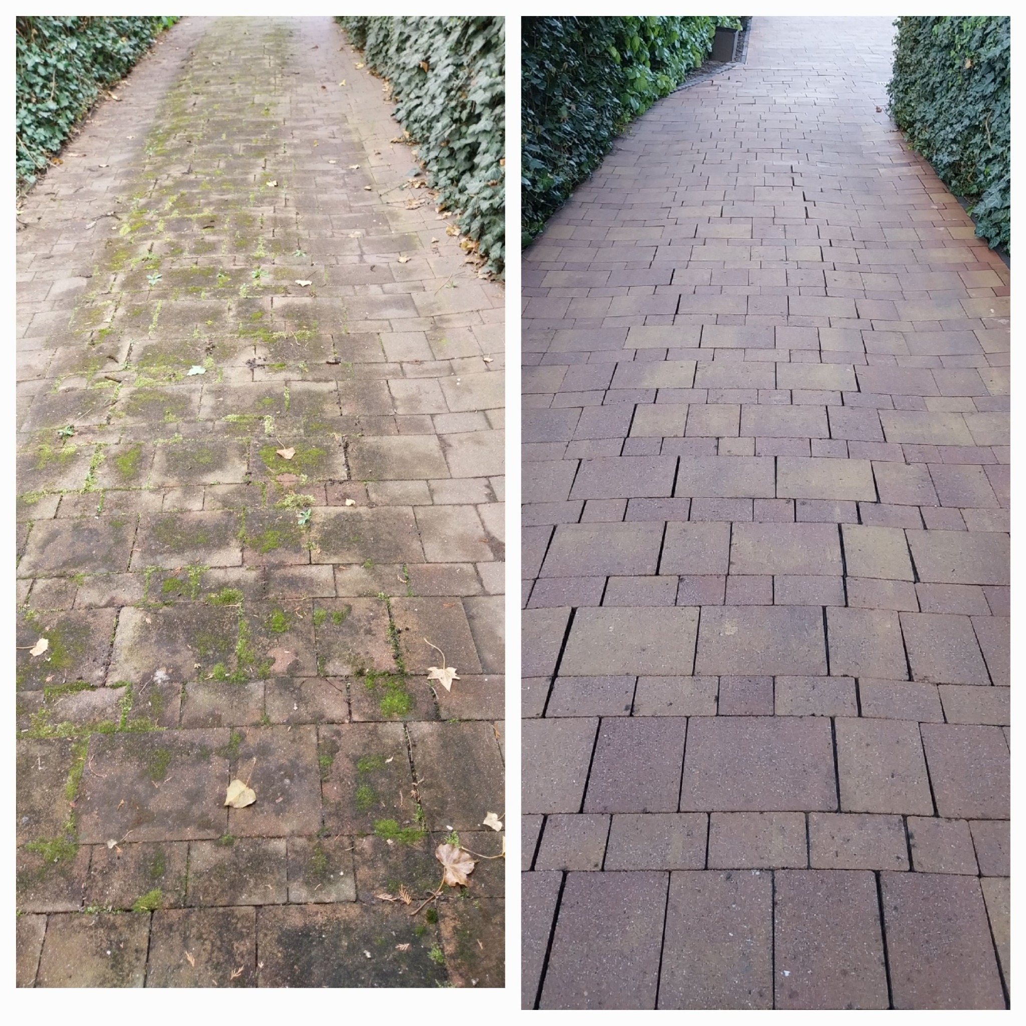 Porównanie: Część kostki brukowej pokryta mchem i zabrudzeniami, druga część po czyszczeniu, z widocznymi fugami i czystą powierzchnią. Po bokach ścieżki widoczne krzewy.