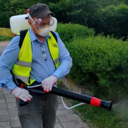 Odkomarzanie - DDD Siałkowski