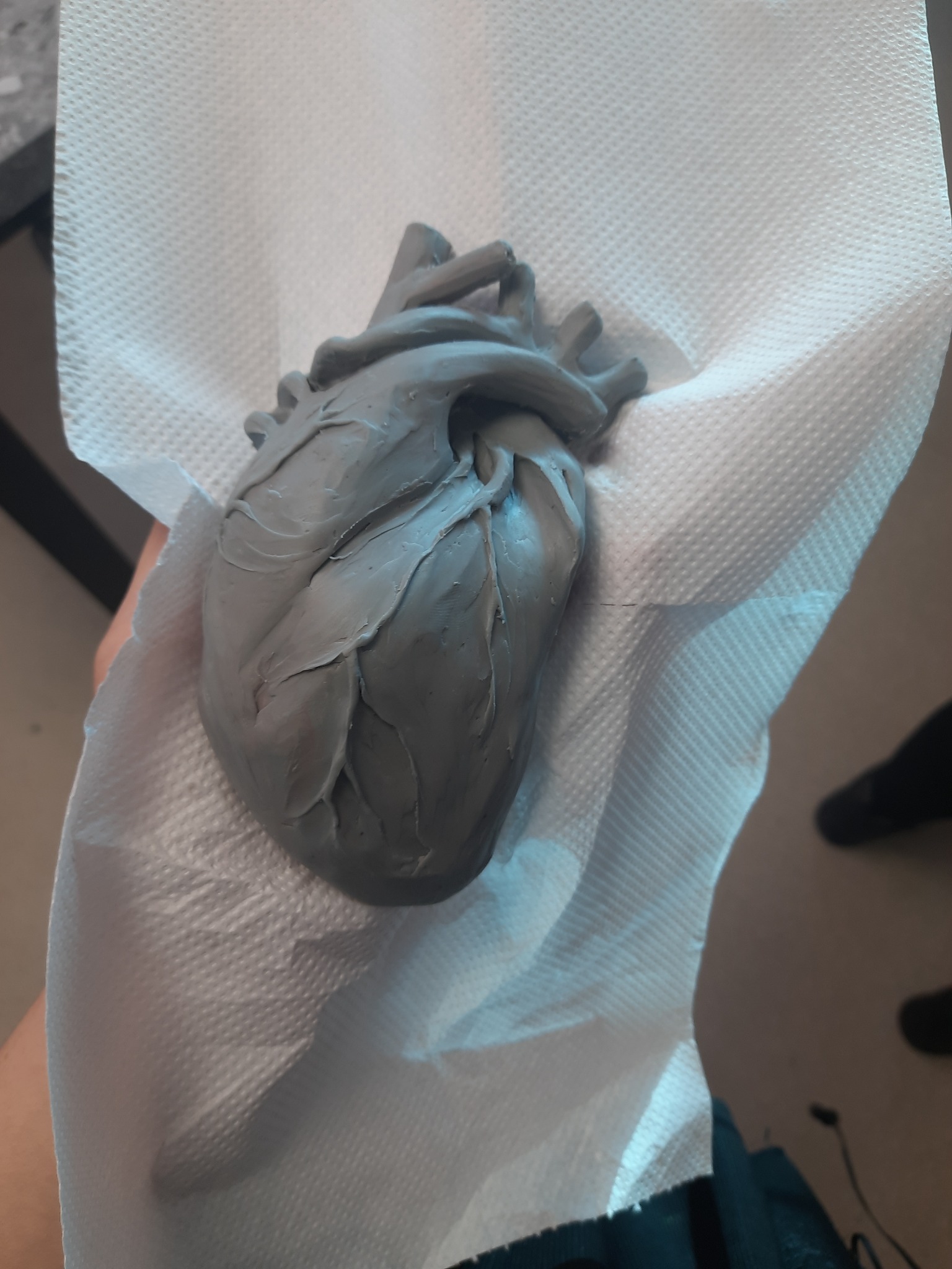 Szary model serca z gliny spoczywa na białej serwetce papierowej, ukazując szczegóły anatomiczne.