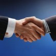 Uścisk dłoni dwóch mężczyzn w garniturach na rozmytym, niebieskim tle, symbolizujący porozumienie i współpracę.