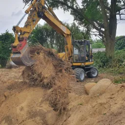 Żółta koparka z czerwonym osprzętem wyciąga z ziemi korzenie drzew, widoczny wykop, kamienie i drzewa w tle.